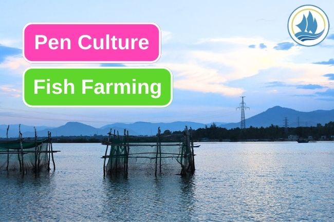 Pen Culture Farming System in Aquaculture